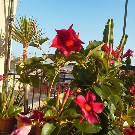 Panoramic Penthouse In The Centre * Naples